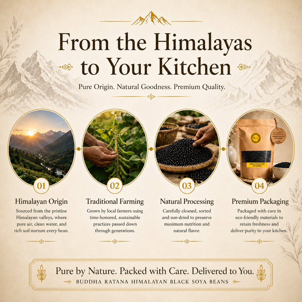 HIMALAYAN BLACK SOYA BEAN