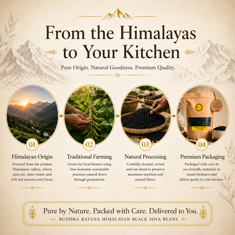 HIMALAYAN BLACK SOYA BEAN