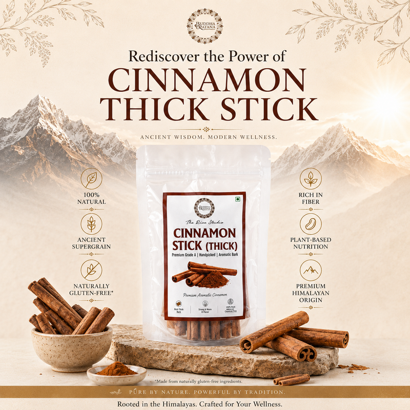 CINNAMON STICK ( THICK )