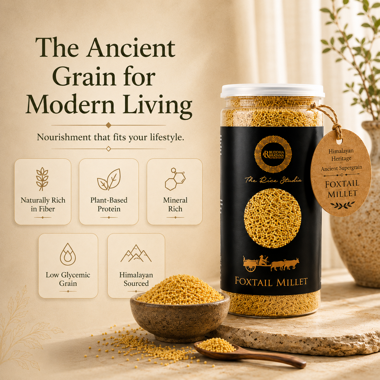 FOXTAIL ( KANGANI ) MILLET