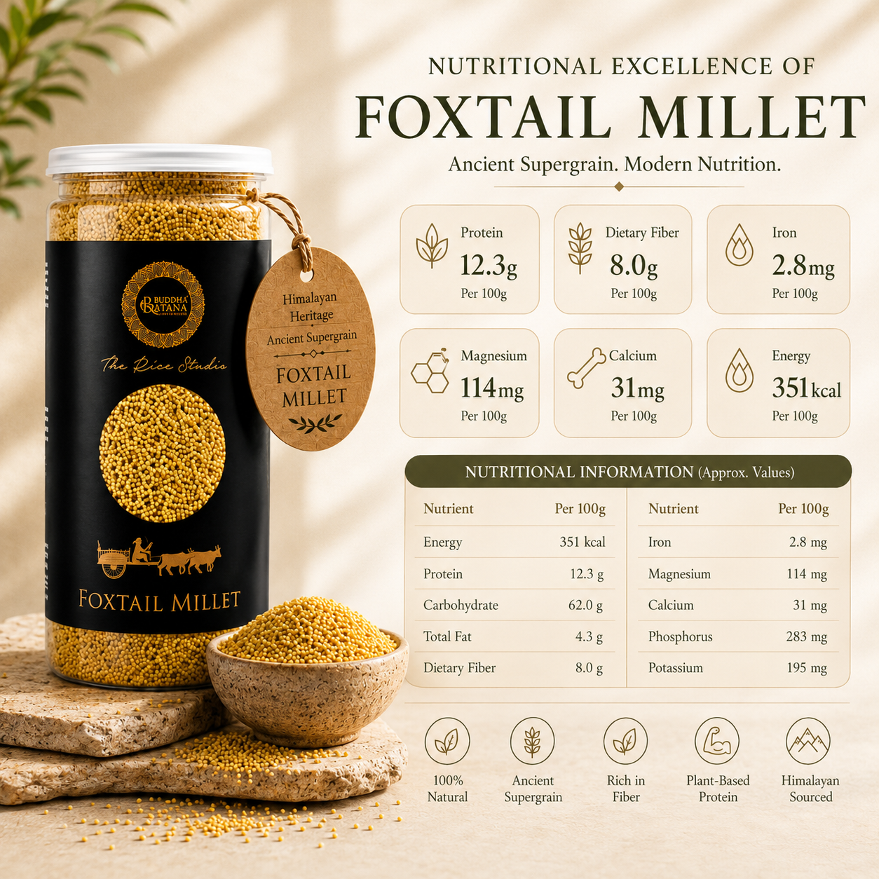 FOXTAIL ( KANGANI ) MILLET