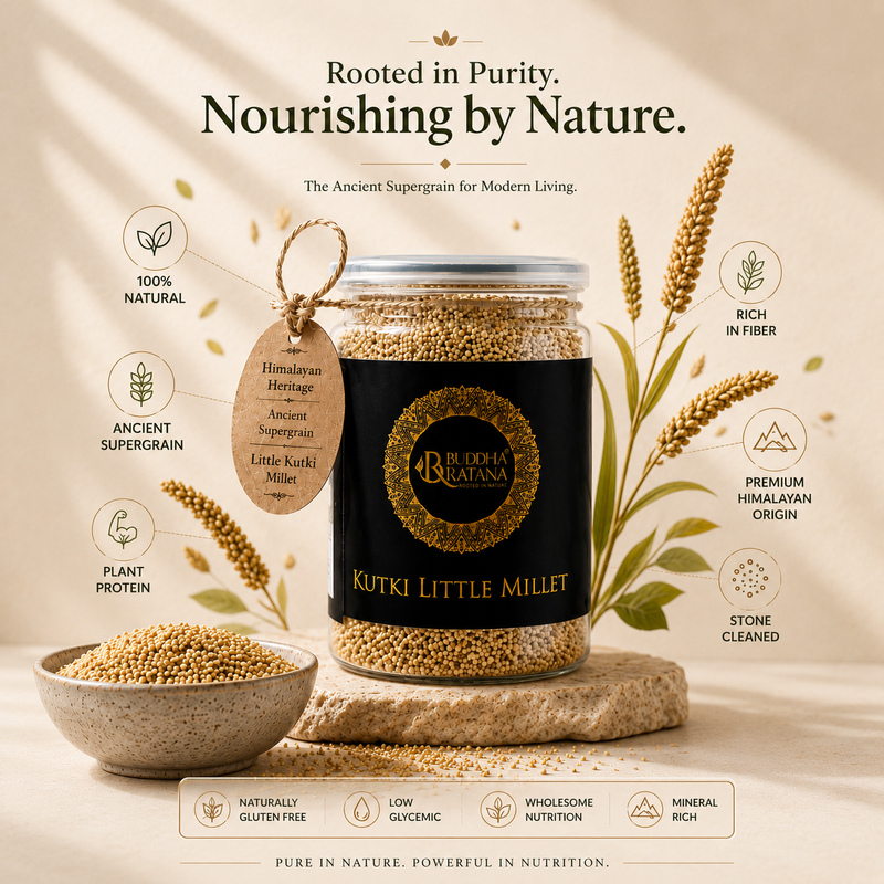 LITTLE ( KUTKI ) MILLET