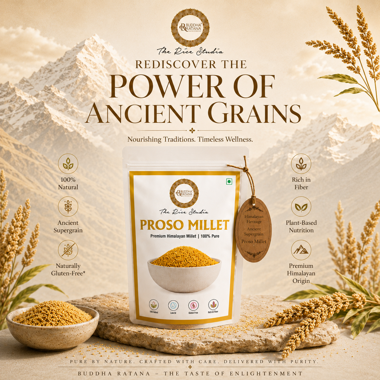 PROSO ( CHEENA&BARRI ) MILLET