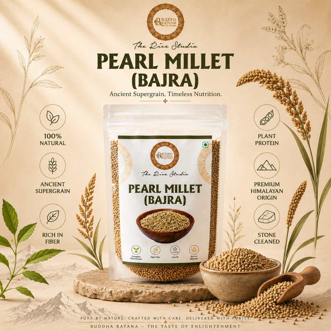 PEARL MILLET ( BAJRA )