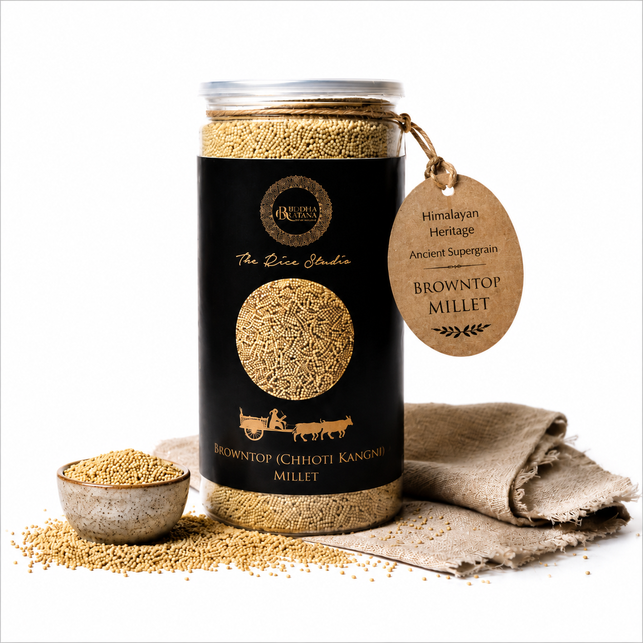 BROWNTOP ( CHOTI KANGANI ) MILLET